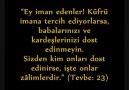 Vela türleri..