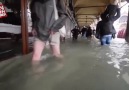 Venedik sular altında kaldı