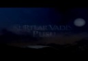 Video Alem - Kurtlar Vadisi Pusu 81.Bölüm Fragman Facebook
