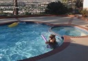 VIDEO: Bear cools off in pool as record heat sweeps SoCal