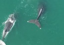 Video by Hunter Johnston