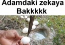 Video Dünyası - Ohaaaa Adamdaki zekaya bakkkkk Facebook