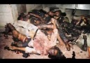 Video 196  / İsrail'in Katliam Görüntüleri