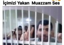 Video Medya - Burası Adana Akıl Hastahanesi Facebook