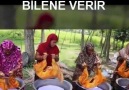 Video Medya - 4 Full Goat Biryani Cooking for Full Village People Facebook