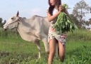 Video Medya - such woman makes man sultan Facebook