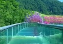 Vikilist.com - Dünyanın renkli su kayağı olabilir