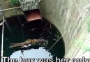 Villagers come up with an ingenious way to save a leopard