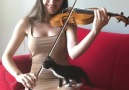 Violin Purrformance for Foster Kittens By Esther Abrami