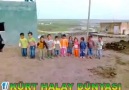 VİRANŞEHİRLİ MİNİKLER HALAY ÇEKİYORLAR HEPSİ 3 / İLA 5 YAŞ ARASI