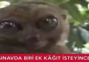 Vizede biri ek kağıt isteyince ben