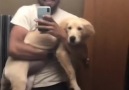 Volume of dog increase Happiness increaseBy anthonystop2k19 IG