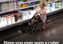 VT - Dog In Buggy Around Supermarket Facebook