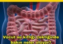 Vücut su kıtlığı çektiğinde bakın neler oluyor