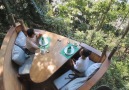 Waiters zipline food to you at this tree-top restaurant!