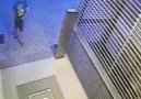 Wait for it Instant karma