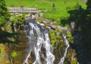 Walter Dorsett Photography - Myrtle Falls Mount Rainier National Park Facebook