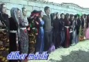 Wanlıların Düğünlerinden Bir Görünüm