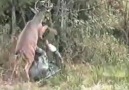 Warrior Level - Oh Deer