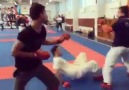 Watch how Rafael Aghayev trains.