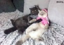 Watching Catflix with my wife!Credit instagram.comamysimba