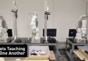 Watch 14 Robotic Arms Teach Each Other How to Grasp Objects