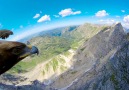 Watch the Alps through the eagles eyes.
