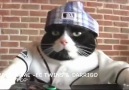 Watch this cat Dj live. WOW