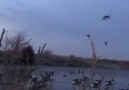 Waterfowl Hunting