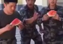 watermelon ba7