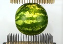 WATERMELON BETWEEN NAIL BEDS!Credit goo.glAAzWja