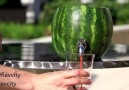 Watermelon Keg