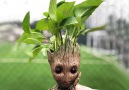We all need those Internet Products ! The Groot Man Planter PotRead more here