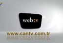 WEB TV