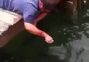Weird way to catch a fish! SHARE
