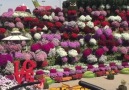 Welcome to The Miracle Garden Dubai