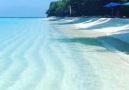 We love Maldives!