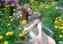 What could be cuter than a sleeping baby donkey in a lap