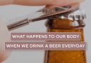 What happens to our body when we drink a beer everyday