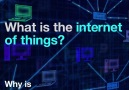 What is the internet of things?