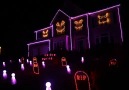 What The Fox Say Halloween Light Show