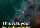Whenever you face challenges remember you once did this. (Via Hashem Al-Ghaili)