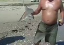 When holding a baby shark goes wrong..
