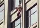When the husband comes home early