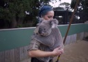 When youre trying to work but your kid is being clingy via Symbio Wildlife Park