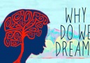 Why do we dream Here are 7 of the top theories