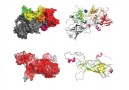 Why proteins can not emerge by chance