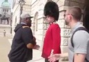 Why you don't harass the Queen's Guard