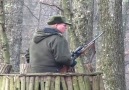 Wild Boar Hunting,Wildsau  2013