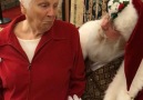 Wild Christmas With Grandma